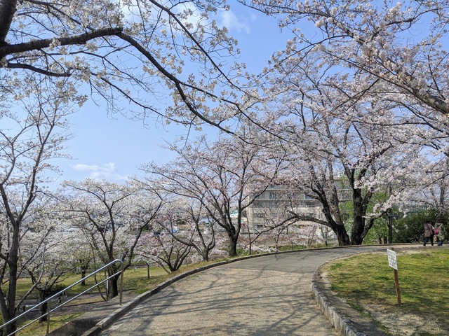 IMG_20200402_140536.jpg