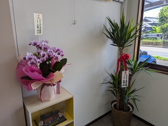 PXL_20240725_020709203 (1).jpg